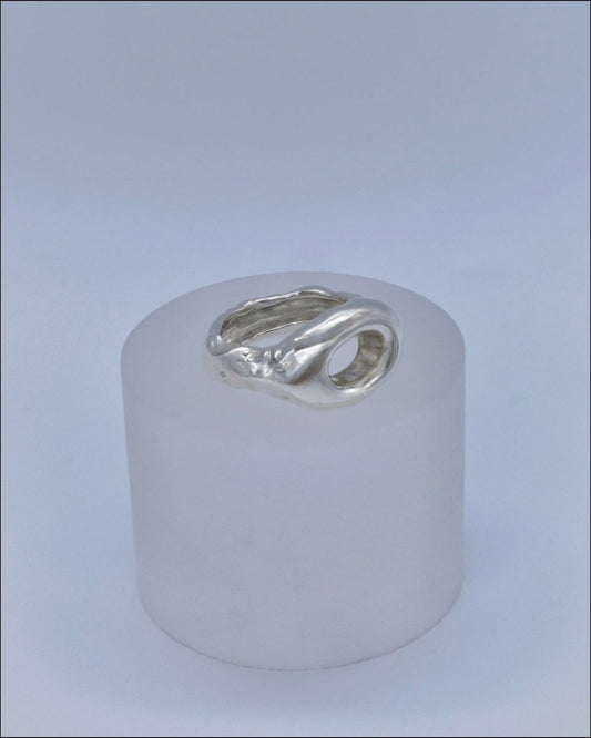 FLUID SIEGELRING